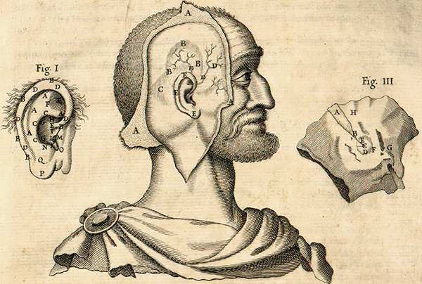 30_Gran_Concerto_Anatomico_600_404