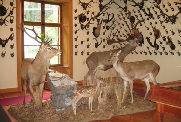 Beck-Peccoz_box(600 x 404 px)