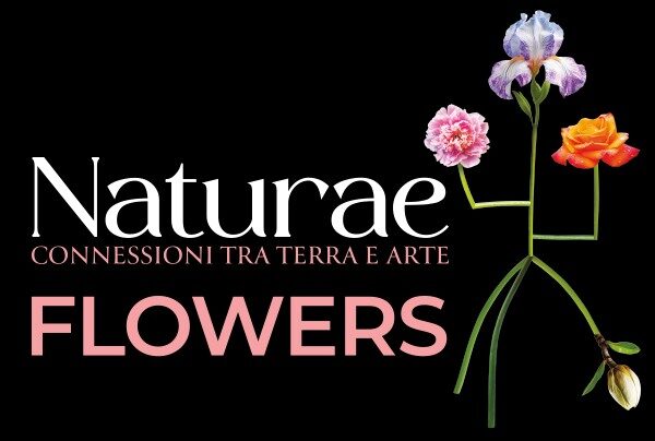 Flowers 600x404