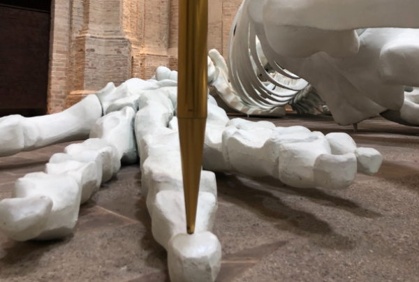 Foto-Profilo-Calamita