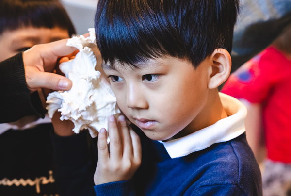 La camera delle meraviglie 600x404 pixel