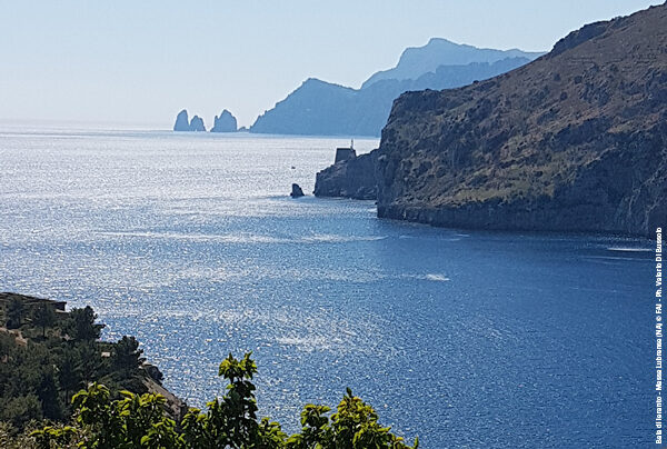 MIDA immagini 600x404 _600 x 404 Ieranto