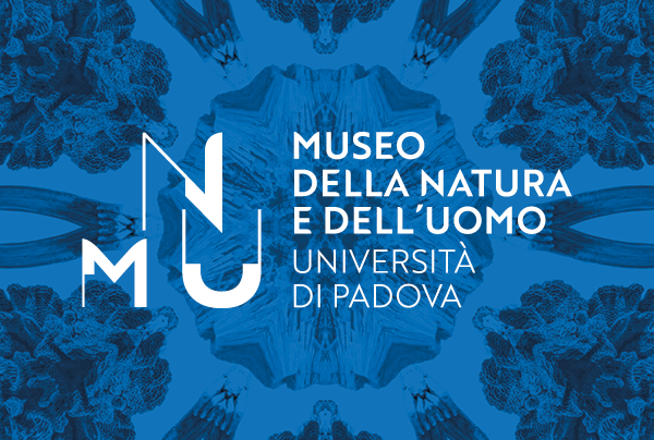 MNU_media-600x404-1