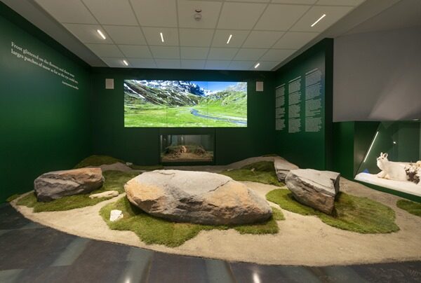 MuseoScienzeNaturali_41_versione600x404a