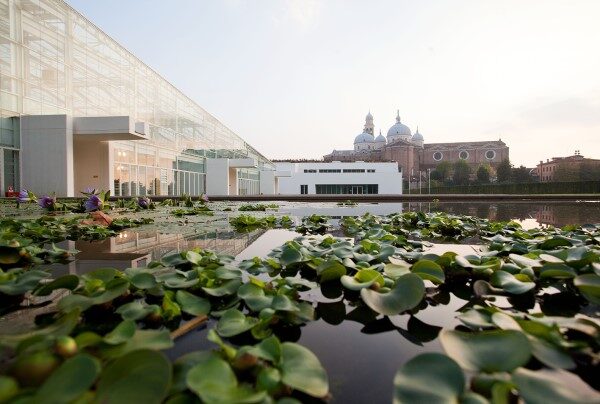 biodiversita?_600_404